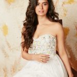 Actress Meenakshi Dixit Photos