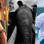 Vishnu Vishal And Rana Daggubati In Prabhu Solomon’s Next?