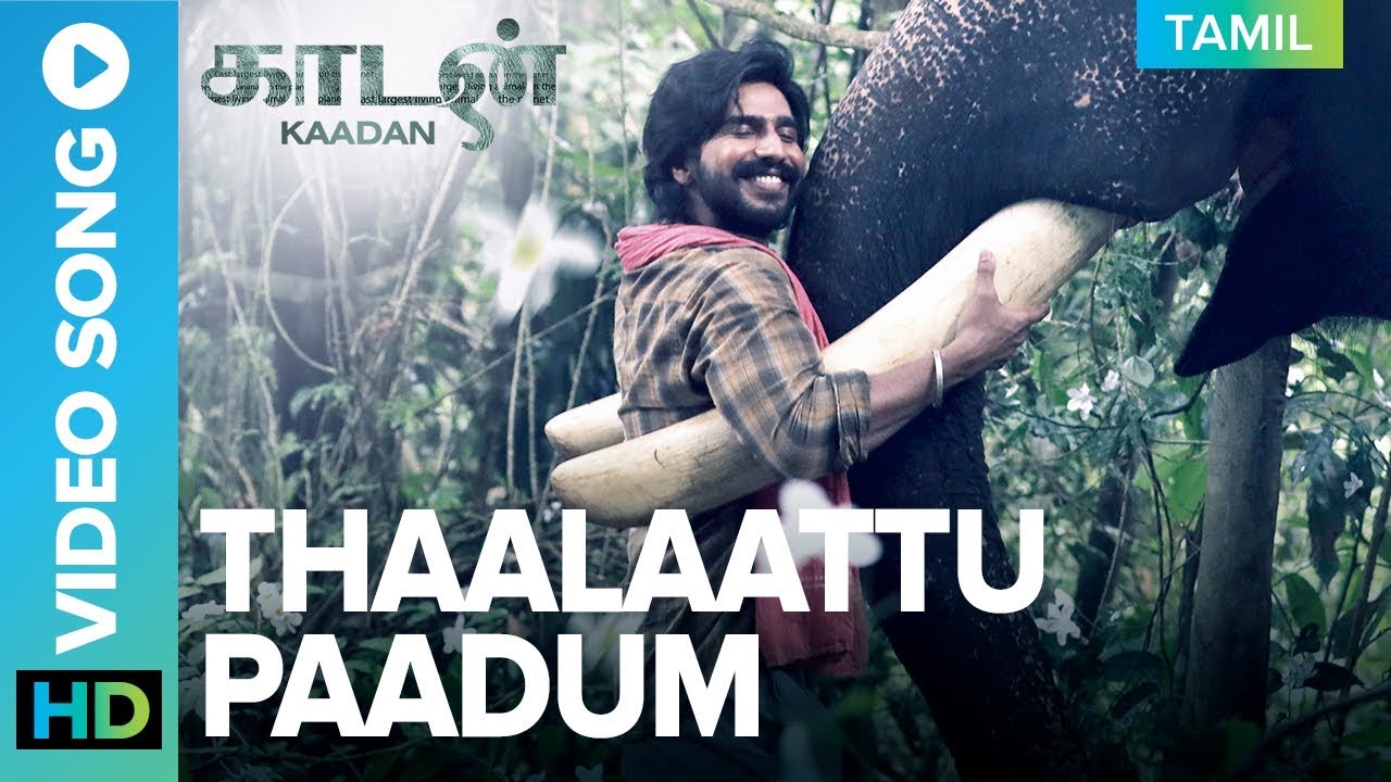 Thaalaattu Paadum Video Song | Kaadan