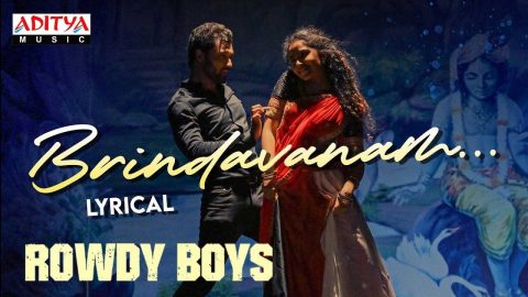 Brindavanam Lyric Video Rowdy Boys