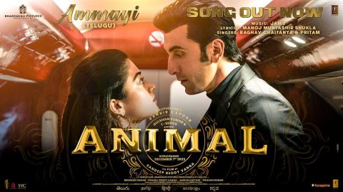 Ammayi Video Song Animal