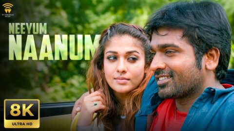Neeyum Naanum Video Song | Naanum Rowdy Dhaan