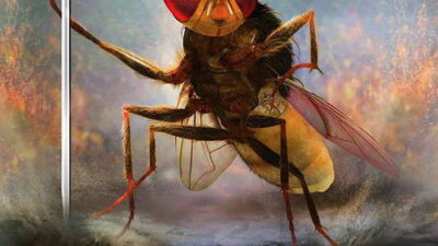 Eega