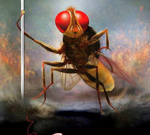 Eega