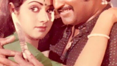 Pokkiri Raja